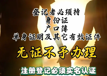 男女相亲 婚恋中介 脱单 征婚